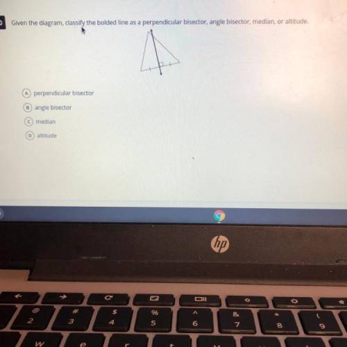Please help!

Given the diagram classify the bolded line as a perpendicular bisector,angle bisecto
