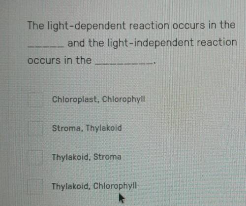 Help now pls 

The light-dependent reaction occurs in the and the light-independent reaction