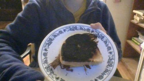 I asked my sister to make me a snadwhich and this is what i get
