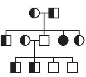 The diagram shows a pedigree for three generations: grandparents, parents, and grandchildren.

Whi