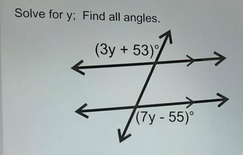 Find all angles and pls show steps