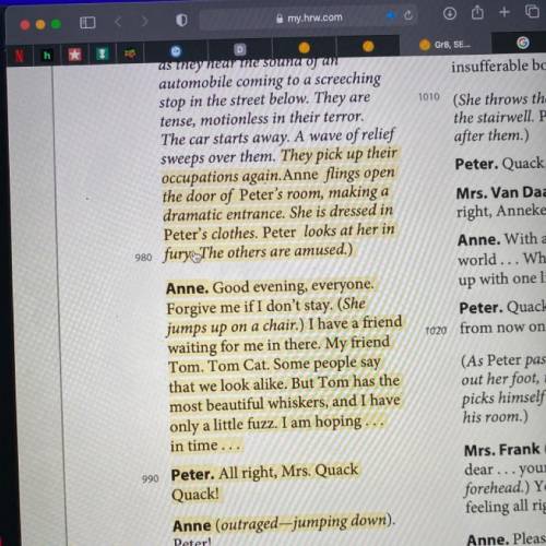 1. Lines 976–993: What direct comments by the playwrights show

Peter's and Anne's thoughts and fe