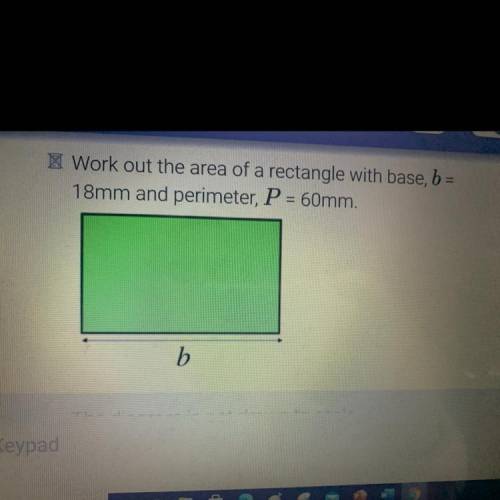 Work out the area of a rectangle with base, b =
18mm and perimeter, P = 60mm.
b b