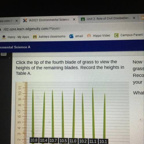 Now that you have the heights of all eight blades of

grass, calculate the average height of the g