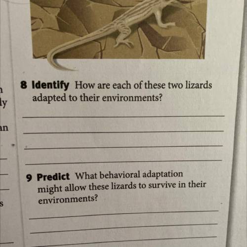 9 Predict What behavioral adaptation

might allow these lizards to survive in their
environments?