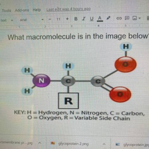 What macromolecule is in the image below
