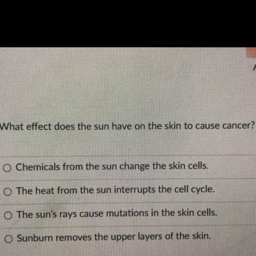 ‼️BRAINLIEST‼️ what effect does the sun have on the skin to cause cancer?