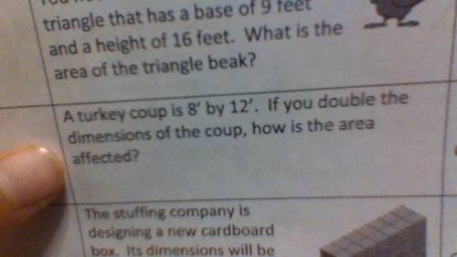 I need the answer of this, can you tell me the answer plz ( i need the eleventh one )