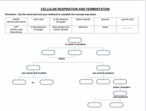 Cellular respiration and fermentation map please help