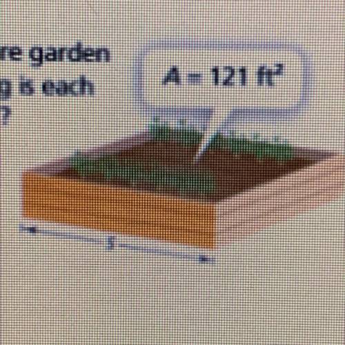 14. The area of a square garden
is shown. How long is each
side of the garden?