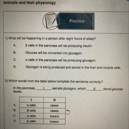 Please help! I’m not sure about the answer