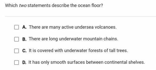 Which TWO statements describe the ocean floor giving brainliest