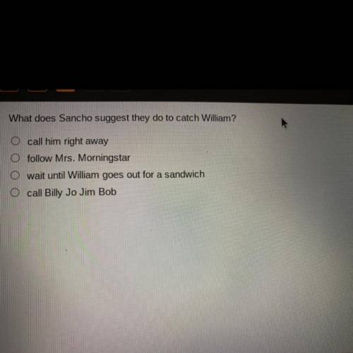 What does Sancho suggest they do to catch William?