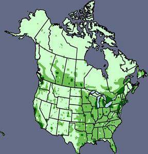 Analyze the map above. Using complete sentences, discuss Canada’s population distribution. Make sur
