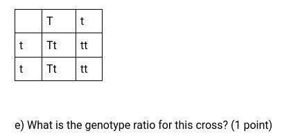 Could somebody help me with this bio question?? Im told biology is really easy but I just don't get
