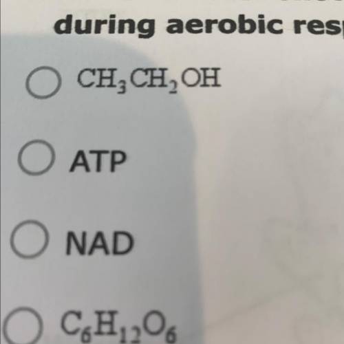 18. Which of the following is synthesized by all producers and consum

during aerobic respiration?