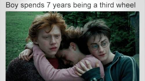 Whats the funnest Harry Potter Meme you,ve seen