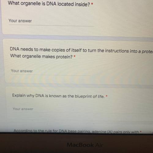 What organelle is DNA located inside? *

1 point
Your answer
1 point
DNA needs to make copies of i
