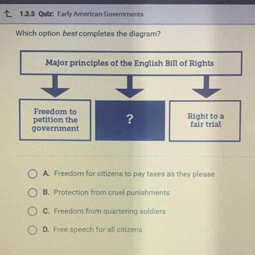 Which option best completes the diagram?

Major principles of the English Bill of Rights
Freedom t
