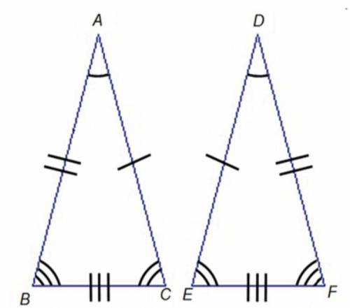 According to the diagram, which are congruent? Check all that apply.

ΔABC and ΔDEF
ΔABC and ΔDFE