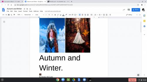 Autumn and winter by dm