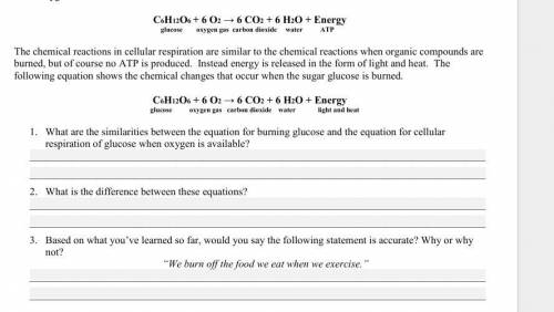 Answer this 3 Questions for 23 Points + Brainliest - Due Soon

1. What are the similarities betwee