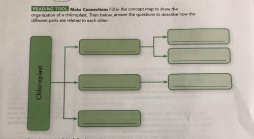 READING TOOL Make Connections Fill in the concept map to show the

organization of a chloroplast.
