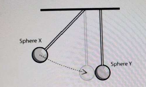In the picture below, sphere X swings down and collides with sphere Y. Identify the action and reac