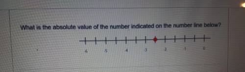 What is the absolute value of the number indicated on the number line below?

A. -2 2/3
B. 2 2/3
C