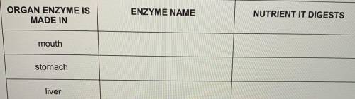 Name the enzyme produced by each organ please help me