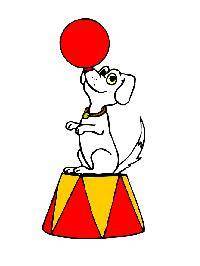 HELP DUE IN 20 MINUTES

The circus dog in the picture below is balancing a ball on his nose. The b