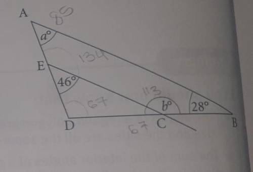 Someone please help. I'll give 15 points 

Question : ABD is a triangle. AB is parallel to EC