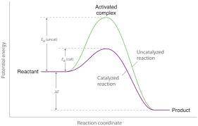 Part A: Explain how Enzyme A acts as a catalyst in the reaction Be sure to include energy and time