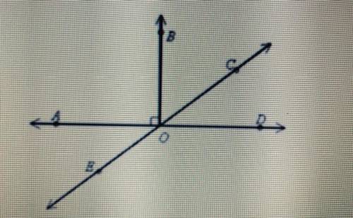 Which angle is supplementary to angle EOB
