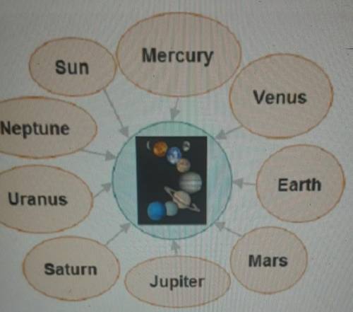 Look at this graphic organizer. Sun Mercury Venus Neptune Earth Uranus Mars Saturn Jupiter What wou