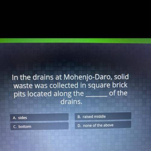 In the drains at Mohenjo-Daro, solid waste was collected in square brick pits located along the____