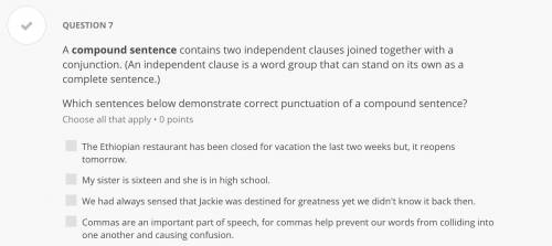 Which sentences below demonstrate correct punctuation of a compound sentence?
