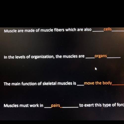 1. Muscles are made of muscle fibers which one are also ___cells___

2. In the levels or organizat