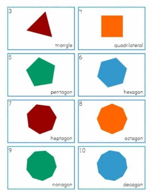 What are the names of these polygons?