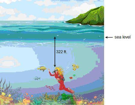 What is Janelle’s position relative to sea level while scuba diving? What should the altimeter read