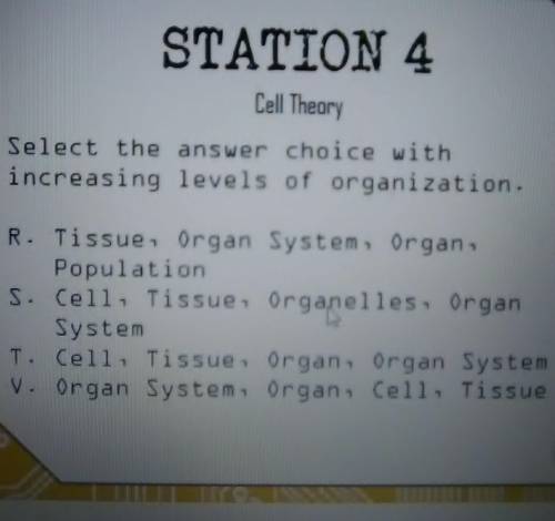 STATION 4 Cell Theory Select the answer choice with increasing levels of organization. R. Tissue, O
