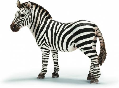 Can a zebra say the n word?