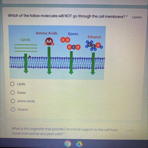 Please help idk what the answer is