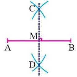 I’ll give brainliest hurryyy

Which of the following is a true statement?
1. CM = CD
2. 2(AB) = AM