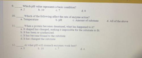 Can anyone help me with these multiple-choice questions?