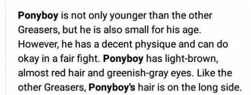 How would you describe Ponyboy?​ (The outsiders)