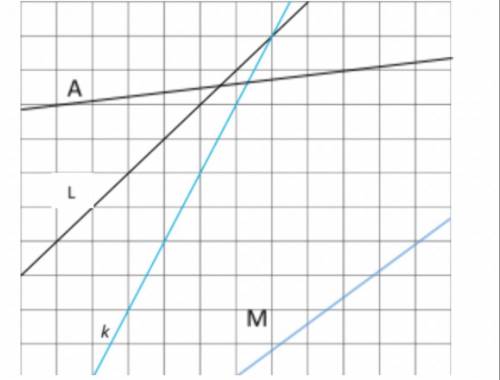 Which line has a slope of 1?
A. line L
B. line K
C. line M
D. line A