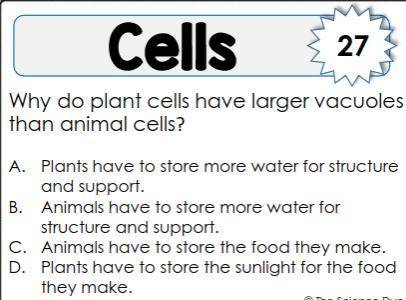 Why do plant cells have larger vacuoles than animal cells?
