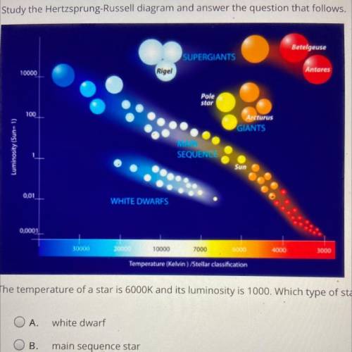 Select the correct answer.

Study the Hertzsprung-Russell diagram and answer the question that fol