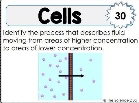 Identify the process that describes fluid moving from areas of higher concentration to areas of low